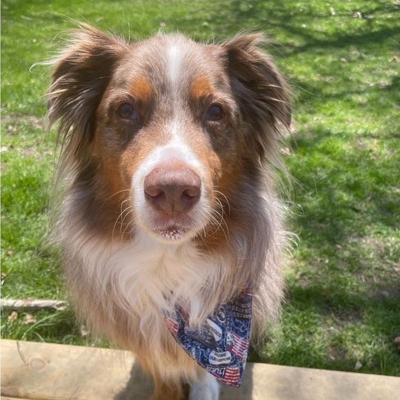 Meet your Posher, Ashley - Picture 5 of 5